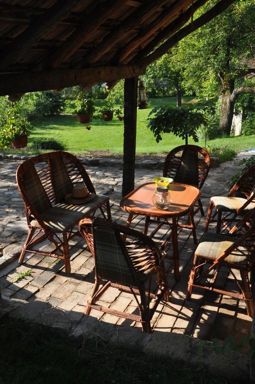 Guesthouse Djuric Negotin Ngoại thất bức ảnh