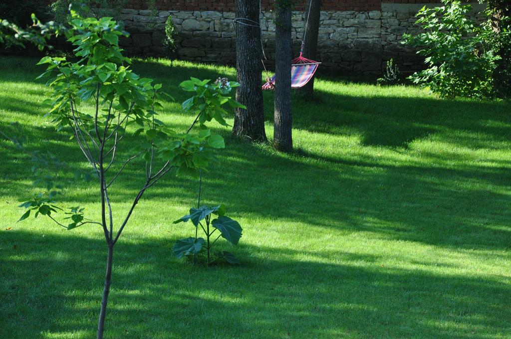 Guesthouse Djuric Negotin Ngoại thất bức ảnh