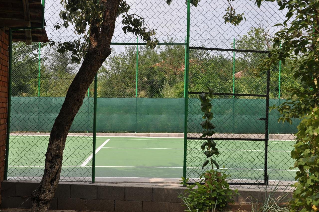 Guesthouse Djuric Negotin Ngoại thất bức ảnh